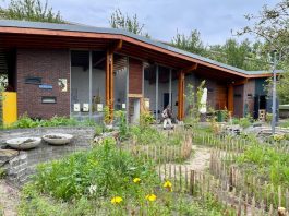 Gratis zomeractiviteiten voor kinderen en jongeren in West en Nieuw-West