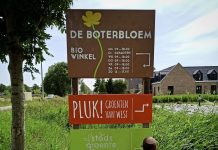 Groenten oogsten en bloemen plukken bij boerderij De Boterbloem