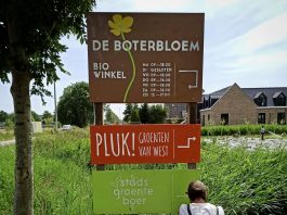 Groenten oogsten en bloemen plukken bij boerderij De Boterbloem