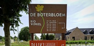 Groenten oogsten en bloemen plukken bij boerderij De Boterbloem