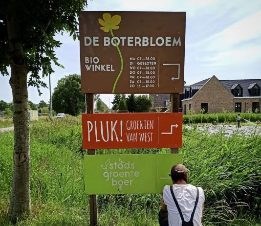 Groenten oogsten en bloemen plukken bij boerderij De Boterbloem