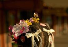 Mounir Raji’s expo ‘Home’ is een ode aan Amsterdam-West All images from the series Home © Mounir Raji.