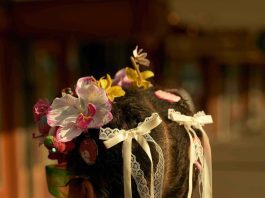 Mounir Raji’s expo ‘Home’ is een ode aan Amsterdam-West All images from the series Home © Mounir Raji.