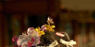 Mounir Raji’s expo ‘Home’ is een ode aan Amsterdam-West All images from the series Home © Mounir Raji.