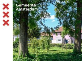 Denk mee over beheerplan bosplantsoen in West