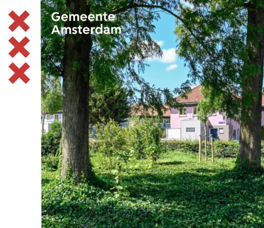 Denk mee over beheerplan bosplantsoen in West