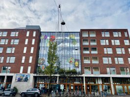 ‘Mijn vrienden ontwikkelden zich, maar ik zat op een zijspoor’