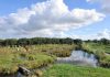 In het Fluisterbos zijn staalslakken gebruikt, paden Erasmuspark zijn schoon