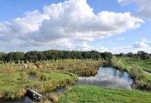 In het Erasmuspark en Fluisterbos zijn staalslakken gebruikt