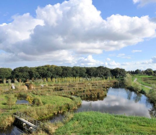 In het Fluisterbos zijn staalslakken gebruikt, paden Erasmuspark zijn schoon