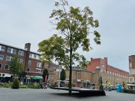 Hittestress dreigt in Witte de With-gebied van De Baarsjes