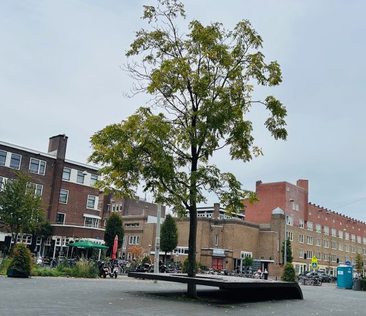 Hittestress dreigt in Witte de With-gebied van De Baarsjes