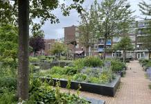 Zet je in voor de nieuwe Borgerbuurt warmtecoöperatie