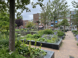 Zet je in voor de nieuwe Borgerbuurt warmtecoöperatie