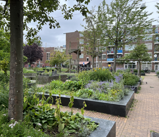 Zet je in voor de nieuwe Borgerbuurt warmtecoöperatie