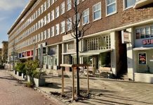 Nieuwe boompjes na herinrichting Bos en Lommerweg