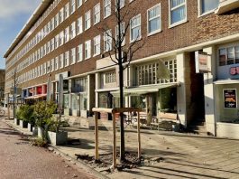 Nieuwe boompjes na herinrichting Bos en Lommerweg