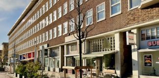 Nieuwe boompjes na herinrichting Bos en Lommerweg