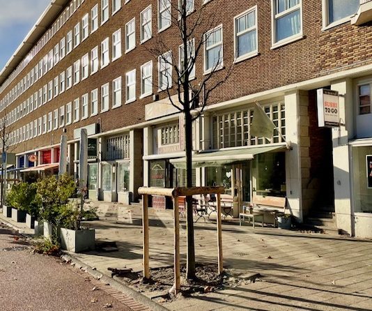 Nieuwe boompjes na herinrichting Bos en Lommerweg