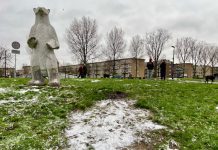 Eerste beetje sneeuw, heel even