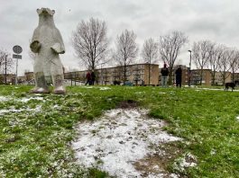 Eerste beetje sneeuw, heel even