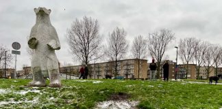 Eerste beetje sneeuw, heel even