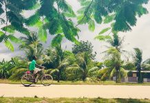 Suriname 50 jaar onafhankelijk: 10 uitgaanstips in en om Amsterdam-West