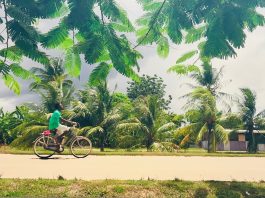 Suriname 50 jaar onafhankelijk: 10 uitgaanstips in en om Amsterdam-West