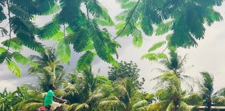 Suriname 50 jaar onafhankelijk: 10 uitgaanstips in en om Amsterdam-West