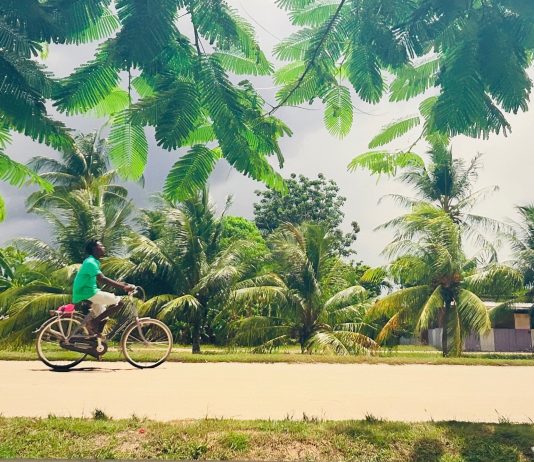 Suriname 50 jaar onafhankelijk: 10 uitgaanstips in en om Amsterdam-West