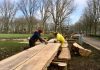 Lange picknickbanken weg voor nieuwe bomen Erasmuspark