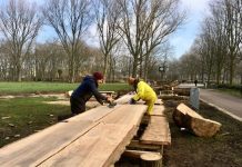 Lange picknickbanken weg voor nieuwe bomen Erasmuspark