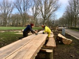 Lange picknickbanken weg voor nieuwe bomen Erasmuspark