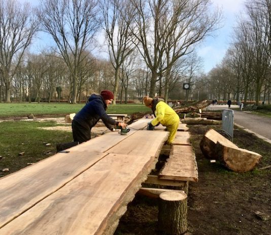 Lange picknickbanken weg voor nieuwe bomen Erasmuspark
