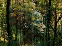 Kerstvakantie 2025: de 8 leukste gratis uitjes in Amsterdam-West