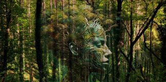 Kerstvakantie 2025: de 8 leukste gratis uitjes in Amsterdam-West