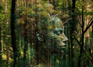 Kerstvakantie 2025: de 8 leukste gratis uitjes in Amsterdam-West