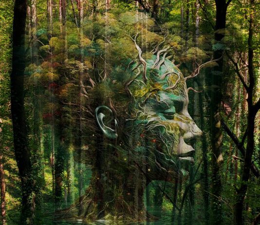 Kerstvakantie 2025: de 8 leukste gratis uitjes in Amsterdam-West