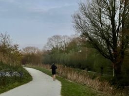 Nieuw groen, speel- en zitplekken, trailrun en natuureducatie moeten Westerpark aantrekkelijker maken
