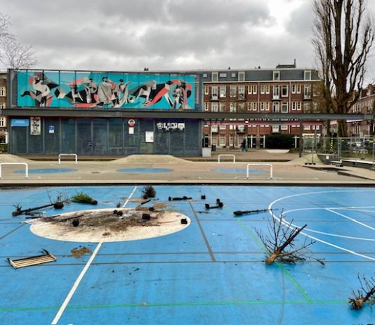 Zwaar vuurwerk als wapen, brandstichting, geweld: dit is waarom de politie in West wil fouilleren