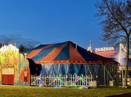 Zanzara terug in Westerpark met acrobatiek, muziek, poëzie en humor