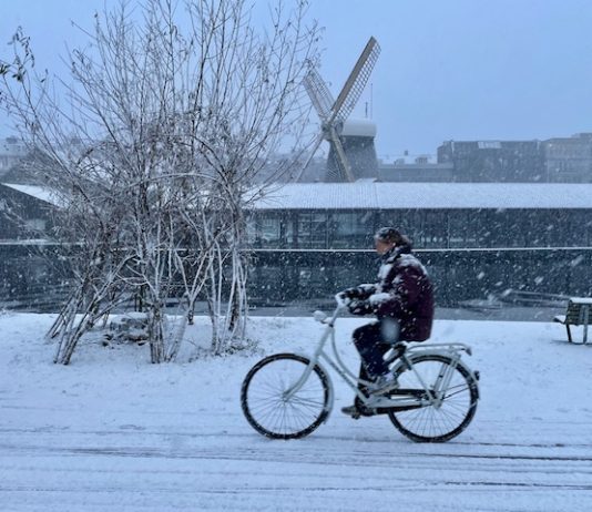 Flinke laag sneeuw bedekt Amsterdam-West – Fatbiker maakt sneeuwpop