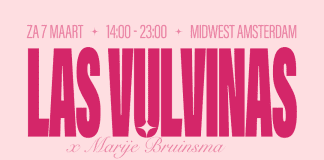 Eendaags feministisch spektakel in MidWest