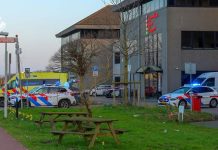 Fietser overlijdt door aanrijding met auto in havengebied