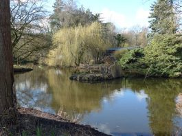 De Tuinen van Westerpark zijn weer open