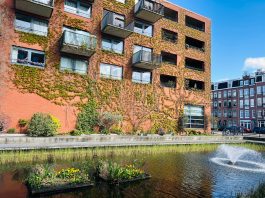 Waarom je dit weekend in de Staatsliedenbuurt moet zijn