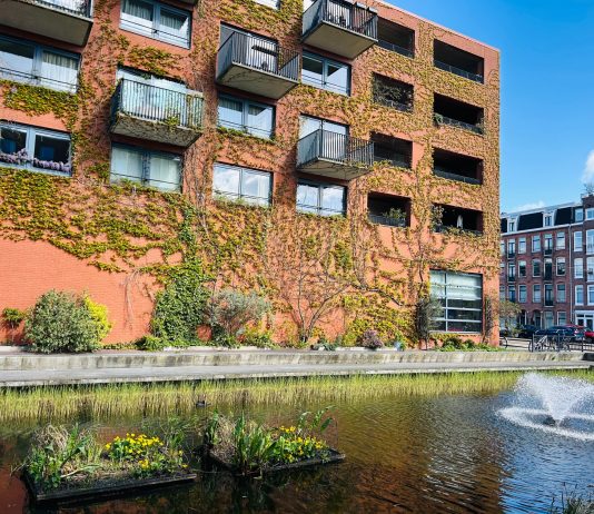 Waarom je dit weekend in de Staatsliedenbuurt moet zijn