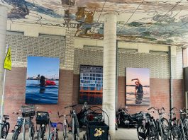 Deze straatexposities in en bij West wil je niet missen