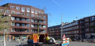 Eindelijk bomen op het Witte de Withplein, vergroening na jaren begonnen