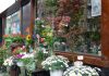 Negentig jaar bloemsierkunst aan de Witte de Withstraat